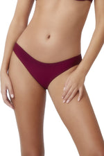 Burgundy Bathing Suit Bottoms | PQ Swim image 1