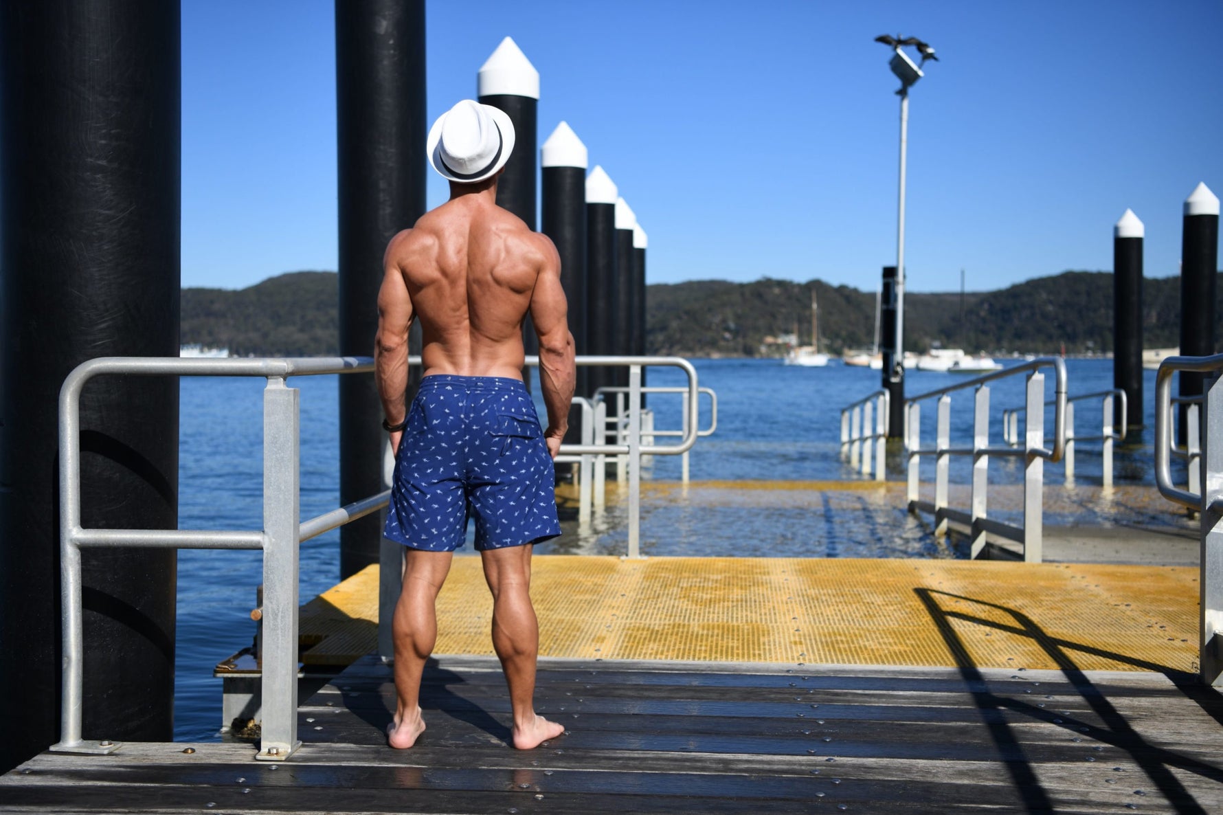 Shark Swim Trunks | Island Haze image 1