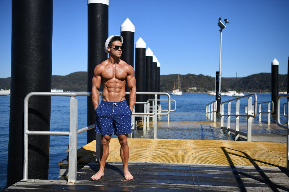 Shark Swim Trunks Island Haze sun vixen swimwear